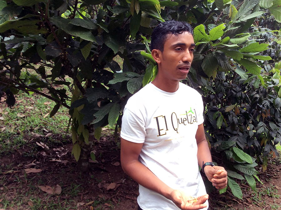 Mindo - El Quetzal - Tour de Chocolate