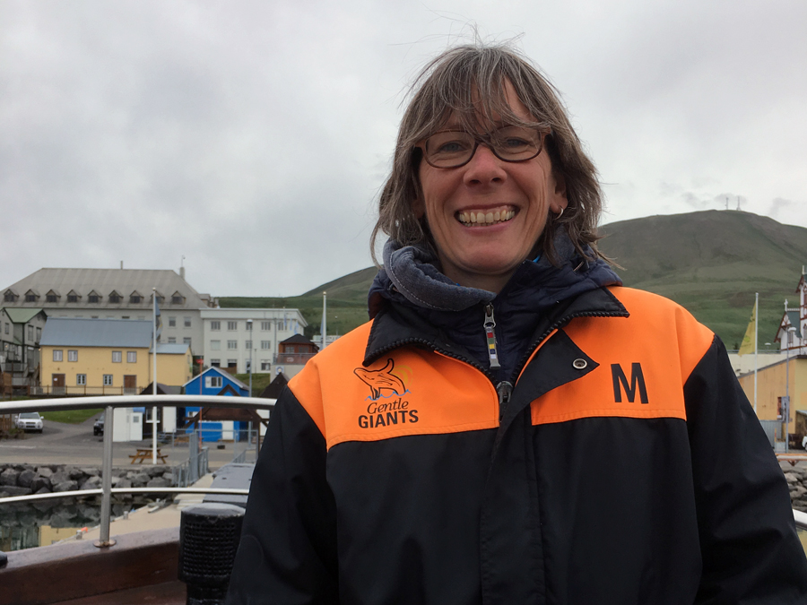 Whale Watching in Husavik
