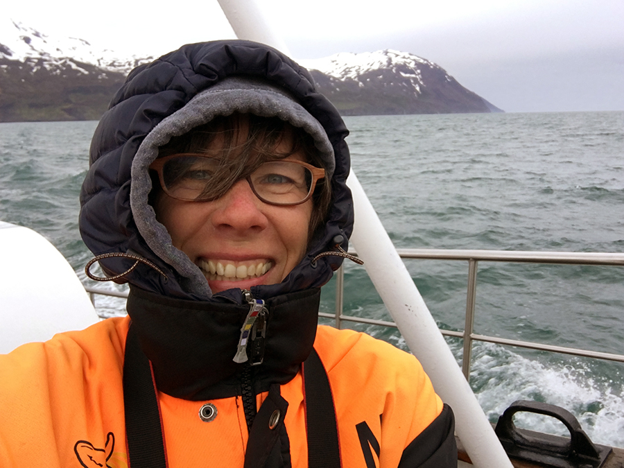 Whale Watching in Husavik