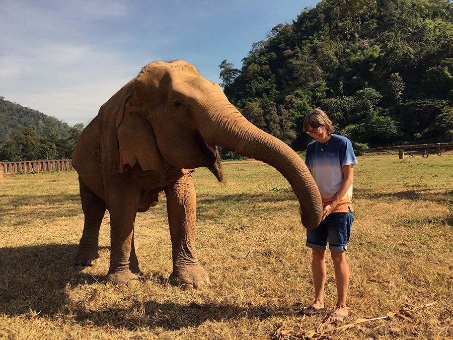 Elephant Nature Park - Fütterung