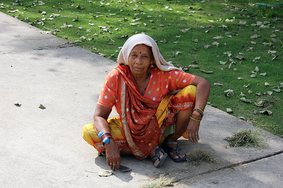 Delhi - Street
