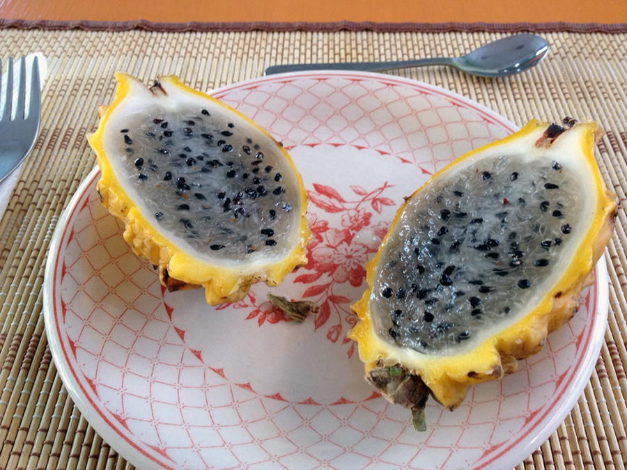 Pitahaya